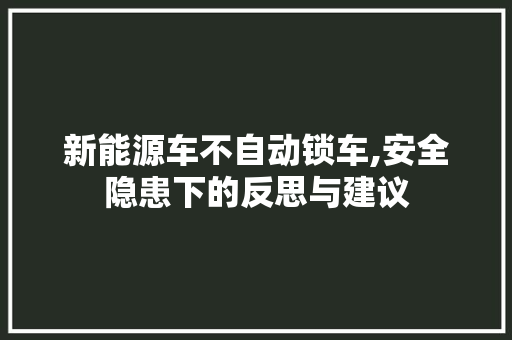 新能源车不自动锁车,安全隐患下的反思与建议