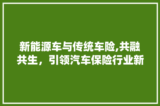 新能源车与传统车险,共融共生，引领汽车保险行业新篇章
