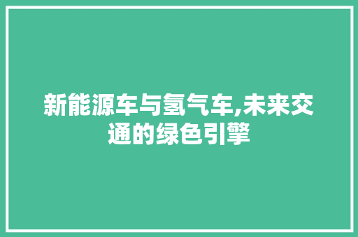 新能源车与氢气车,未来交通的绿色引擎 新款车型