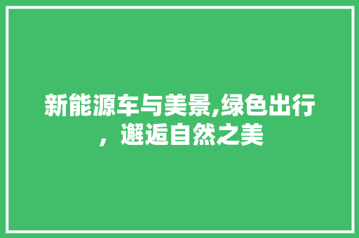 新能源车与美景,绿色出行，邂逅自然之美