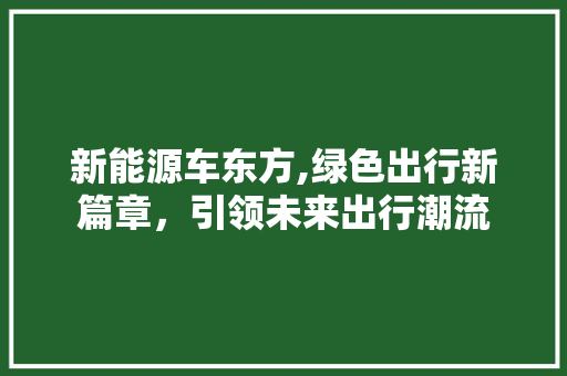 新能源车东方,绿色出行新篇章，引领未来出行潮流