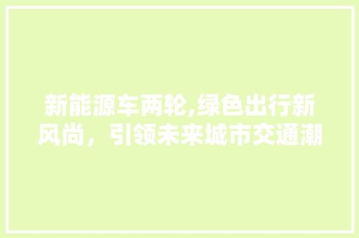 新能源车两轮,绿色出行新风尚，引领未来城市交通潮流