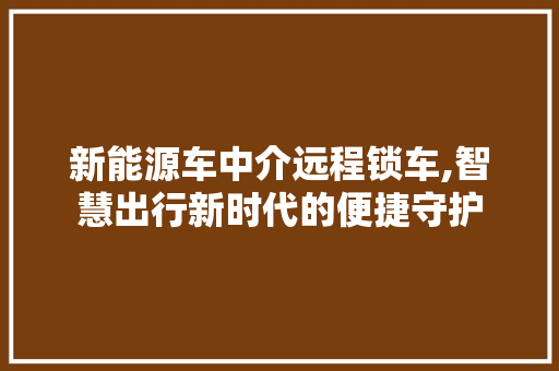 新能源车中介远程锁车,智慧出行新时代的便捷守护