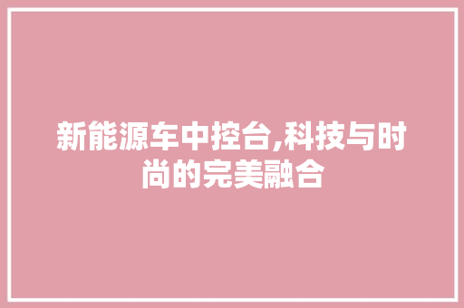 新能源车中控台,科技与时尚的完美融合