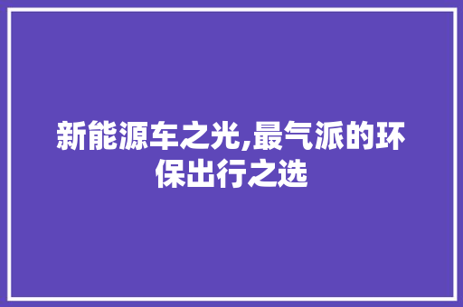 新能源车之光,最气派的环保出行之选