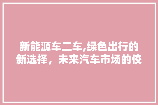 新能源车二车,绿色出行的新选择，未来汽车市场的佼佼者