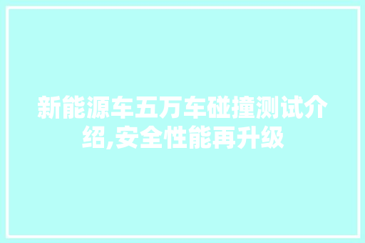 新能源车五万车碰撞测试介绍,安全性能再升级