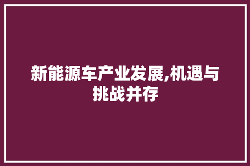 新能源车产业发展,机遇与挑战并存