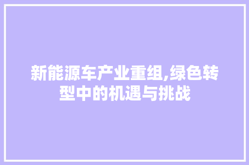 新能源车产业重组,绿色转型中的机遇与挑战