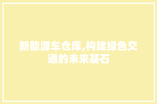 新能源车仓库,构建绿色交通的未来基石