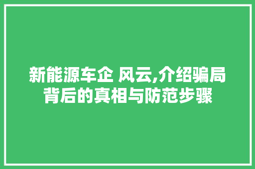 新能源车企 风云,介绍骗局背后的真相与防范步骤