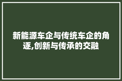 新能源车企与传统车企的角逐,创新与传承的交融