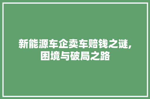 新能源车企卖车赔钱之谜,困境与破局之路