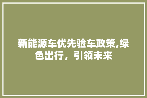 新能源车优先验车政策,绿色出行，引领未来