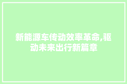 新能源车传动效率革命,驱动未来出行新篇章
