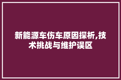 新能源车伤车原因探析,技术挑战与维护误区