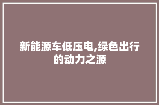 新能源车低压电,绿色出行的动力之源