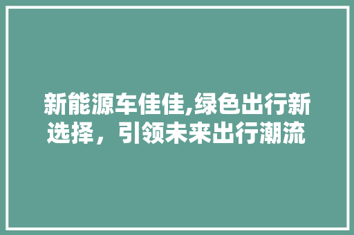 新能源车佳佳,绿色出行新选择，引领未来出行潮流