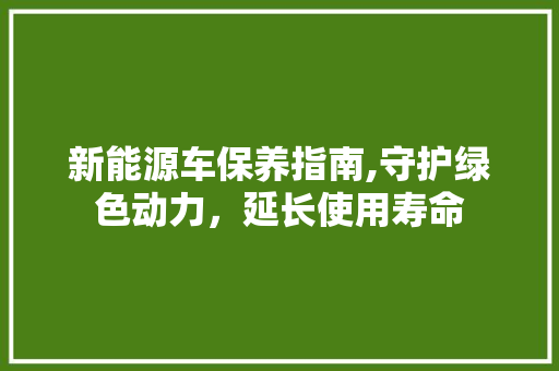新能源车保养指南,守护绿色动力，延长使用寿命