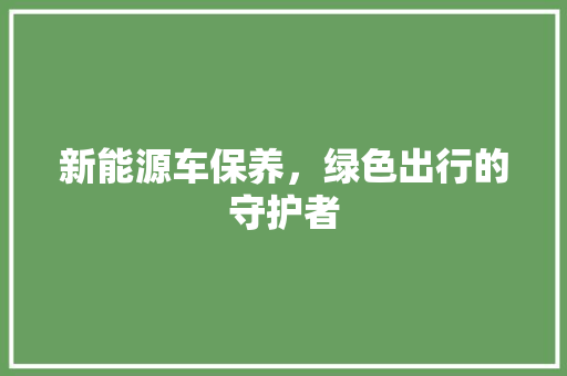 新能源车保养，绿色出行的守护者