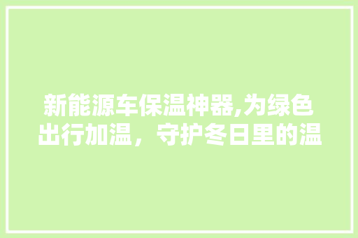 新能源车保温神器,为绿色出行加温，守护冬日里的温馨家园
