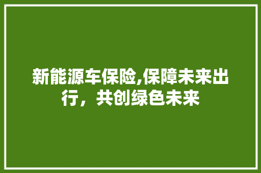 新能源车保险,保障未来出行，共创绿色未来