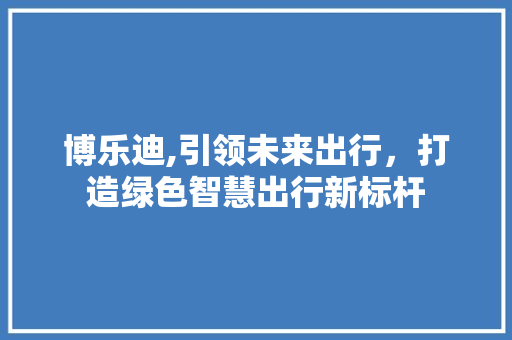 博乐迪,引领未来出行，打造绿色智慧出行新标杆