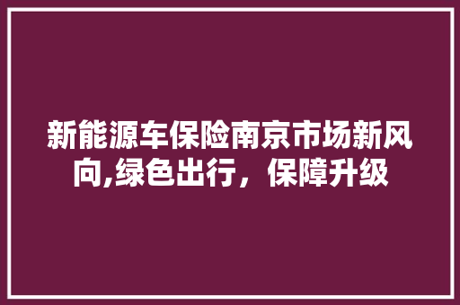 新能源车保险南京市场新风向,绿色出行，保障升级
