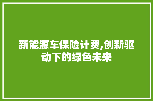 新能源车保险计费,创新驱动下的绿色未来