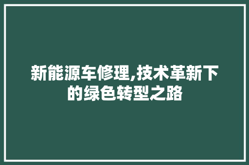 新能源车修理,技术革新下的绿色转型之路