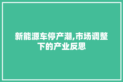 新能源车停产潮,市场调整下的产业反思