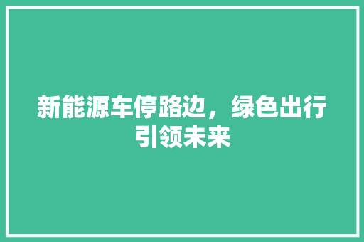 新能源车停路边，绿色出行引领未来