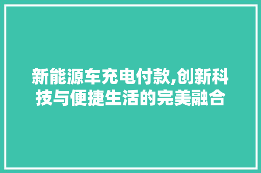 新能源车充电付款,创新科技与便捷生活的完美融合