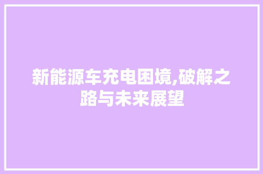 新能源车充电困境,破解之路与未来展望