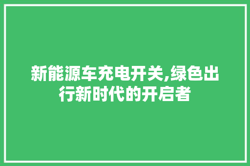 新能源车充电开关,绿色出行新时代的开启者