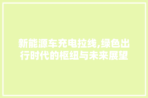 新能源车充电拉线,绿色出行时代的枢纽与未来展望