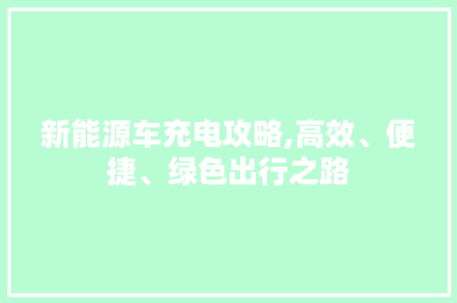 新能源车充电攻略,高效、便捷、绿色出行之路