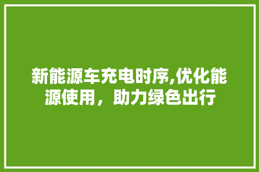 新能源车充电时序,优化能源使用，助力绿色出行
