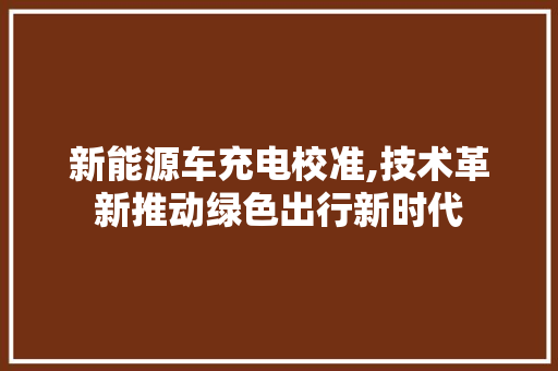 新能源车充电校准,技术革新推动绿色出行新时代