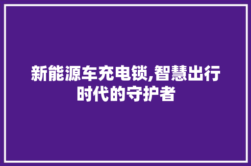 新能源车充电锁,智慧出行时代的守护者