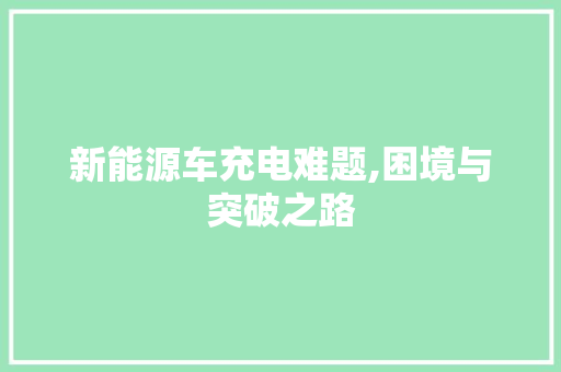 新能源车充电难题,困境与突破之路
