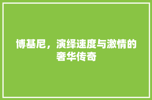 博基尼，演绎速度与激情的奢华传奇