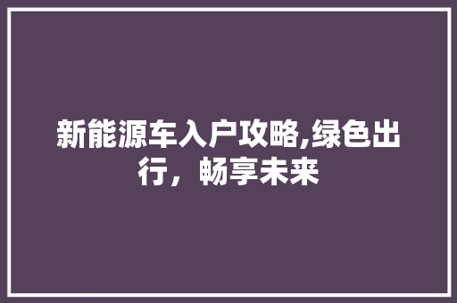新能源车入户攻略,绿色出行，畅享未来