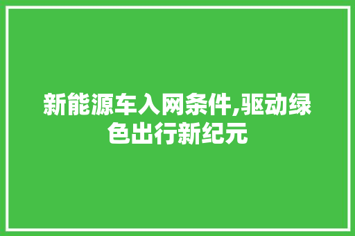 新能源车入网条件,驱动绿色出行新纪元