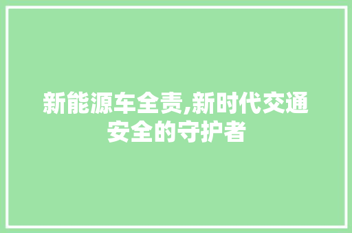 新能源车全责,新时代交通安全的守护者