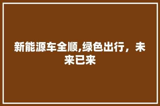 新能源车全顺,绿色出行，未来已来
