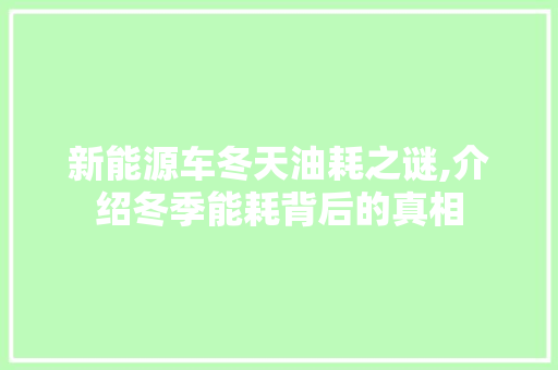 新能源车冬天油耗之谜,介绍冬季能耗背后的真相