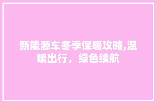 新能源车冬季保暖攻略,温暖出行，绿色续航