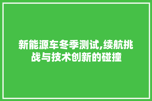新能源车冬季测试,续航挑战与技术创新的碰撞