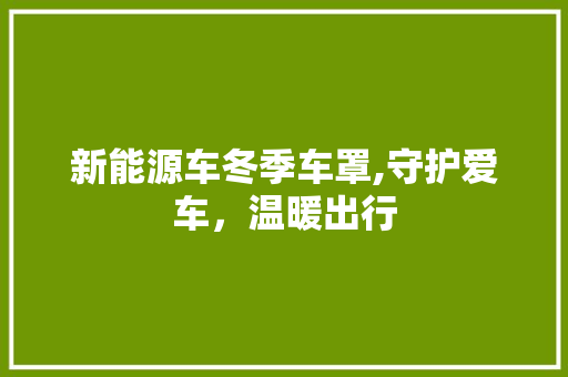 新能源车冬季车罩,守护爱车，温暖出行